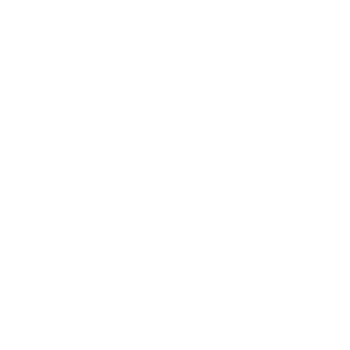 Friendly Icon White Home